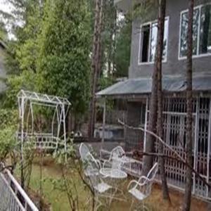 Nathia Gali Pinetree Resort Nathiagali المظهر الخارجي الصورة